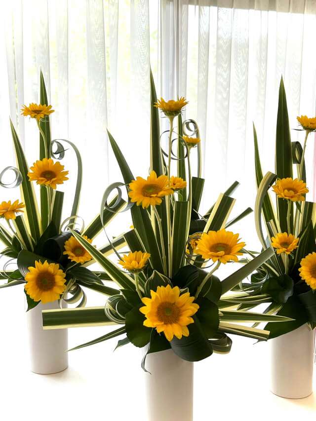 modernclassictrianglar1