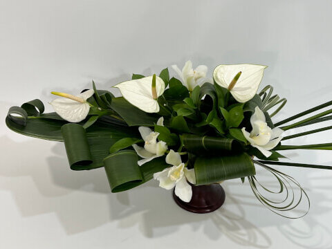 4月からの大切なお知らせ!モダンを取り入れたレッスンを開始します