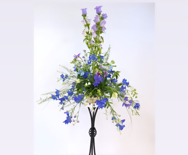 ブルーファウンテン  Blue Flower Fountain